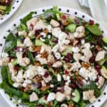 Feature image of an overhead shot of the Mixed Greens Salad with Chicken and Goat Cheese.