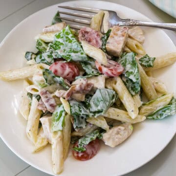 Feature image of an overhead shot of one serving of pasta salad on a white plate.